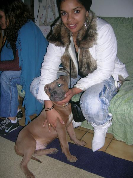 MOI ET LE CHIEN A ZE QU'IL A PERDU